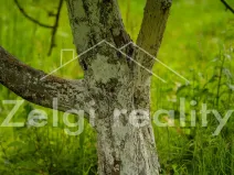 Prodej sadu/vinice, Polom, 9760 m2