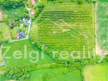 Prodej pozemku pro bydlení, Polom, 5462 m2