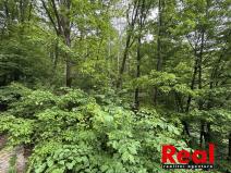Prodej chaty, Sentice, 51 m2
