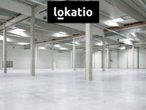 Pronájem skladu, Nýřany, 76600 m2