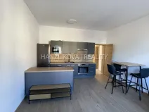 Pronájem bytu 2+kk, České Budějovice, 56 m2