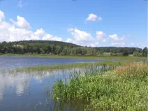 Dražba pozemku, Lipí, 480 m2