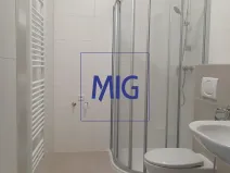Pronájem bytu 1+kk, Syrovice, 37 m2