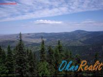 Prodej lesa, Oseček, 78338 m2