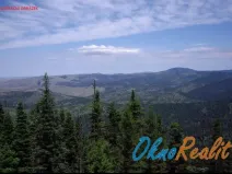 Prodej lesa, Oseček, 78338 m2