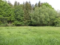 Dražba louky, Pluhův Žďár, 2746 m2
