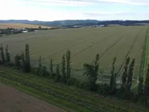 Dražba louky, Újezdec, 4351 m2