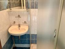 Pronájem bytu 2+1, Bílina - Teplické Předměstí, M. Švabinského, 55 m2