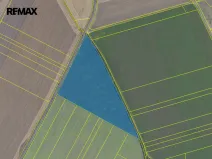 Prodej pole, Kněžice, 40299 m2