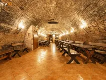 Prodej vinného sklepa, Dolní Dunajovice, Hlavní, 500 m2