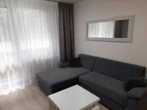 Prodej bytu 1+1, Brno, Glinkova, 33 m2