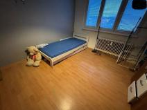 Pronájem bytu 3+1, Most, Hutnická, 57 m2