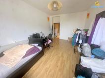 Pronájem bytu 1+kk, Praha - Nusle, Na Veselí, 31 m2