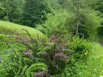 Prodej chalupy, Jablonec nad Jizerou, 108 m2