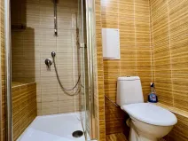 Pronájem bytu 1+kk, Hradec Králové, Severní, 28 m2