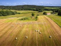Prodej pozemku pro bydlení, Dubičné, 4385 m2