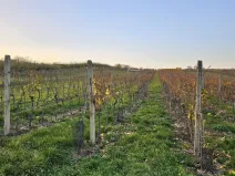 Prodej domu na klíč, Starý Poddvorov, 250 m2