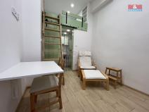 Pronájem bytu 1+kk, Jindřichův Hradec, Pod Hradem, 16 m2