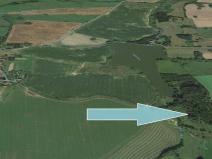 Prodej lesa, Kozlovice, 10280 m2