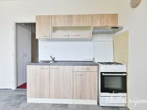 Pronájem bytu 1+1, Rosice, Kaštanová, 40 m2