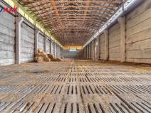 Prodej skladu, Bílá Třemešná, 3070 m2