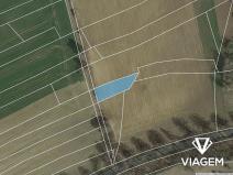 Prodej pole, Nová Ves u Mladé Vožice, 787 m2