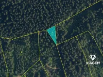 Prodej lesa, Velké Hamry, 496 m2