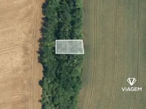 Prodej lesa, Syrovín, 320 m2