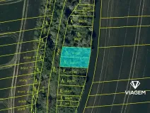 Prodej lesa, Syrovín, 320 m2