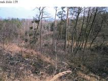 Prodej lesa, Osové, 21602 m2