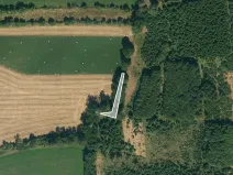 Prodej lesa, Košetice, 222 m2