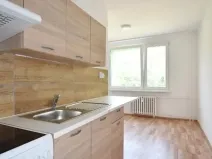 Pronájem bytu 1+1, Jirkov, Krušnohorská, 40 m2