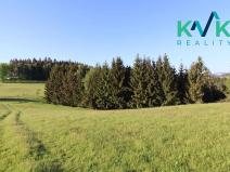 Prodej lesa, Kolová, 8922 m2