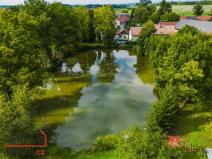 Prodej zemědělského objektu, Opočno - Dobříkovec, 10000 m2