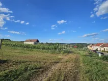 Prodej pozemku pro bydlení, Starý Poddvorov, 800 m2