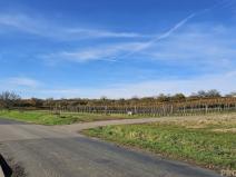 Prodej pozemku pro bydlení, Starý Poddvorov, 814 m2