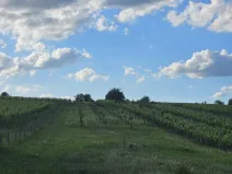 Prodej pozemku pro bydlení, Starý Poddvorov, 814 m2