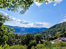 Prodej chaty, Ústí nad Labem - Brná, Pod Ostrým, 35 m2