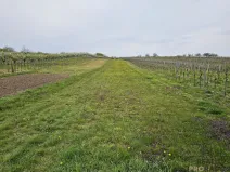 Prodej domu na klíč, Starý Poddvorov, 190 m2