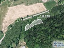 Prodej lesa, Držková, 1954 m2