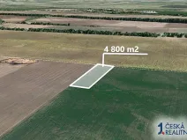 Prodej pole, Troskotovice, 4800 m2