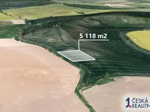 Prodej podílu pole, Zdounky, 426 m2