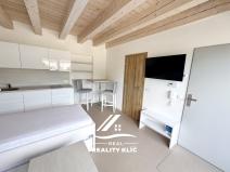 Pronájem bytu 1+kk, Hlučín, Opavská, 20 m2