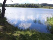 Prodej pozemku, Lipí - Kaliště u Lipí, 480 m2