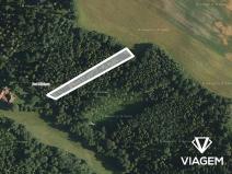 Prodej lesa, Jindřichov, 1945 m2
