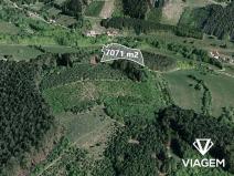 Prodej lesa, Hovězí, 7071 m2