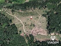 Prodej lesa, Všemina, 21200 m2