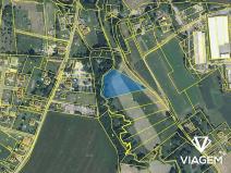 Prodej podílu pole, Světlá nad Sázavou, 1293 m2