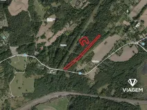 Prodej lesa, Doubrava, 2709 m2