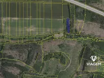 Prodej podílu lesa, Dunice, 693 m2